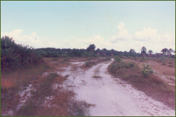 Zanderij Savanna