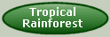 Tropical Rainforest