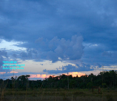 Sunset above the savanna 