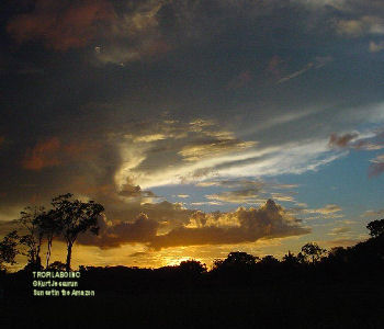 Sunset in the Amazon