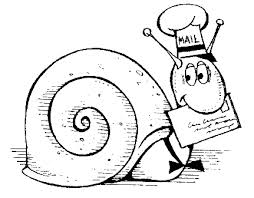 Snail Mail