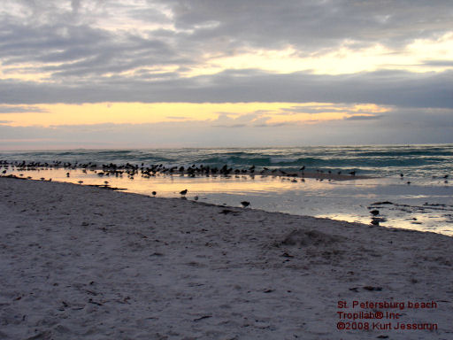 Pass a Grille Beach sunset2