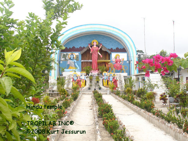 Hindu temple in the Amazon rainforest