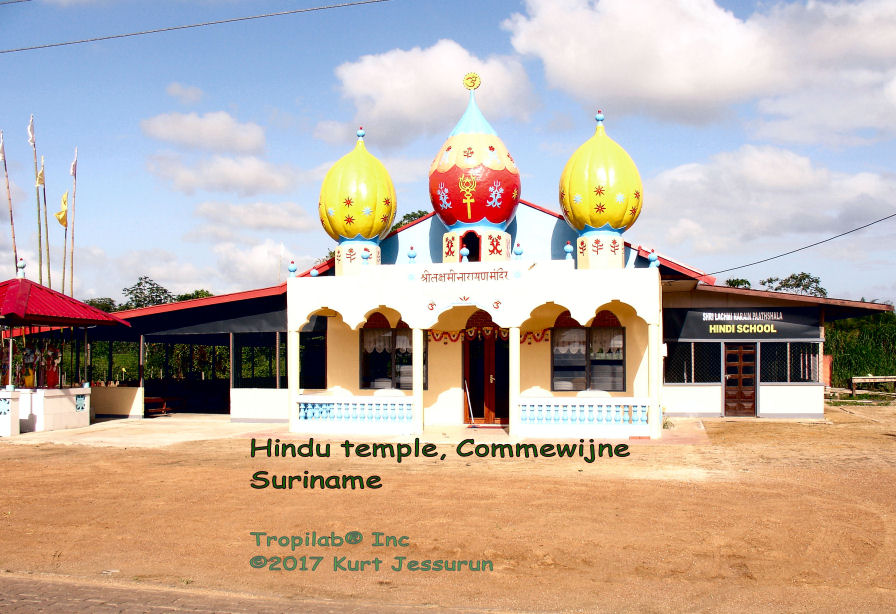 Hindu temple in the Amazon rainforest