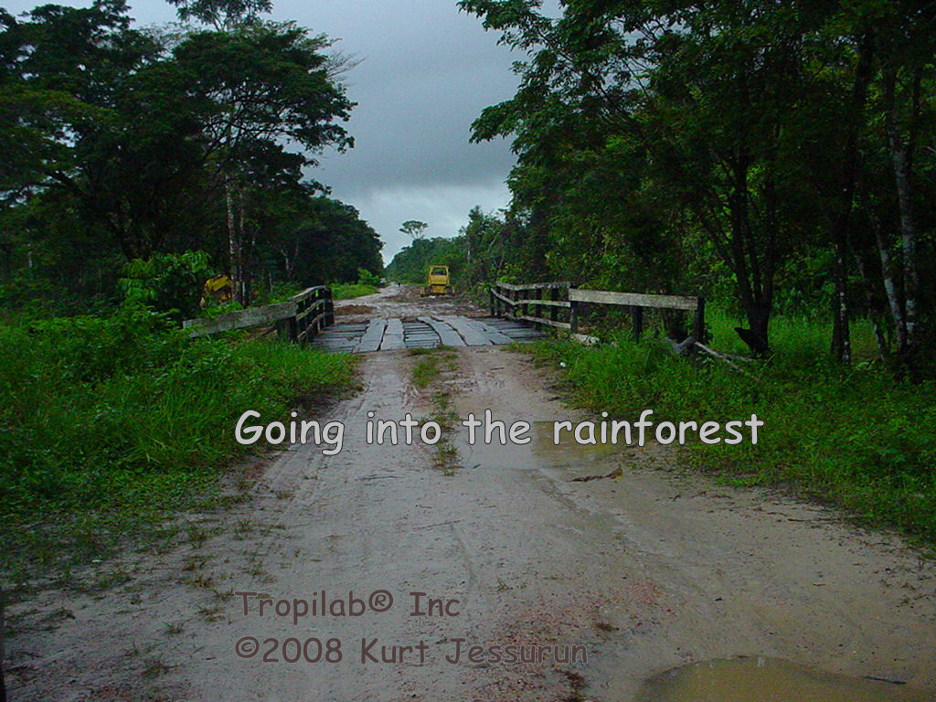 Field day going into the forest