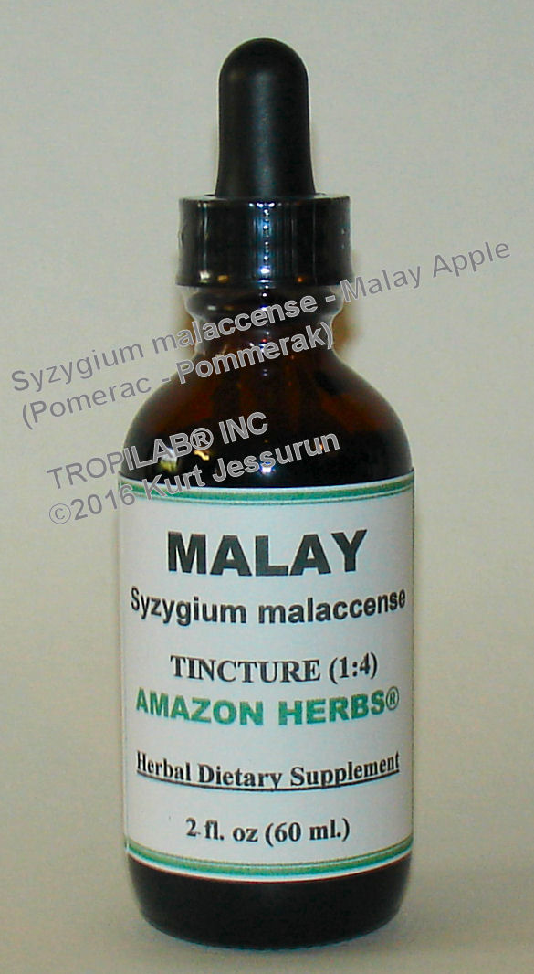 Syzygium malaccense - Malay apple tincture (Tropilab). Used as natural remedies for constipation, diabetes, 
coughs, pulmonary catarrh, headache and other ailments.