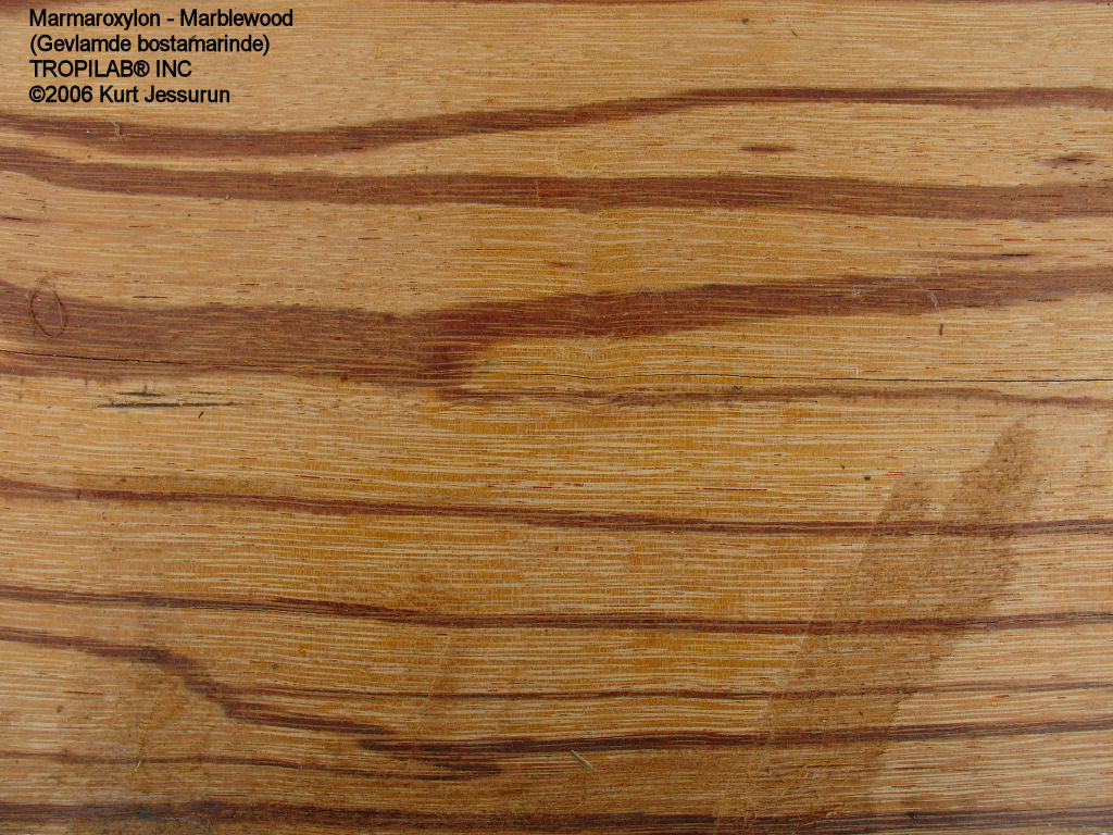 Marblewood