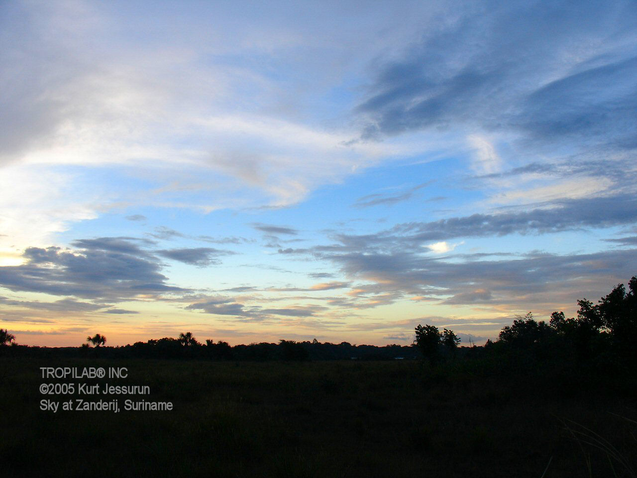 Sunset over the Amazon rainforest 