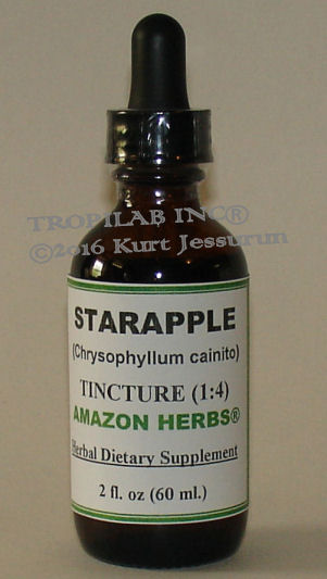 Chrysophyllum cainito (Star apple) tincture