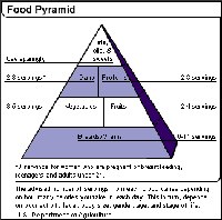 Food Pyramid