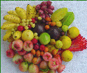 Tropical fruits